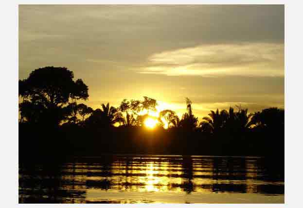 Amazon Rainforest, Colombia